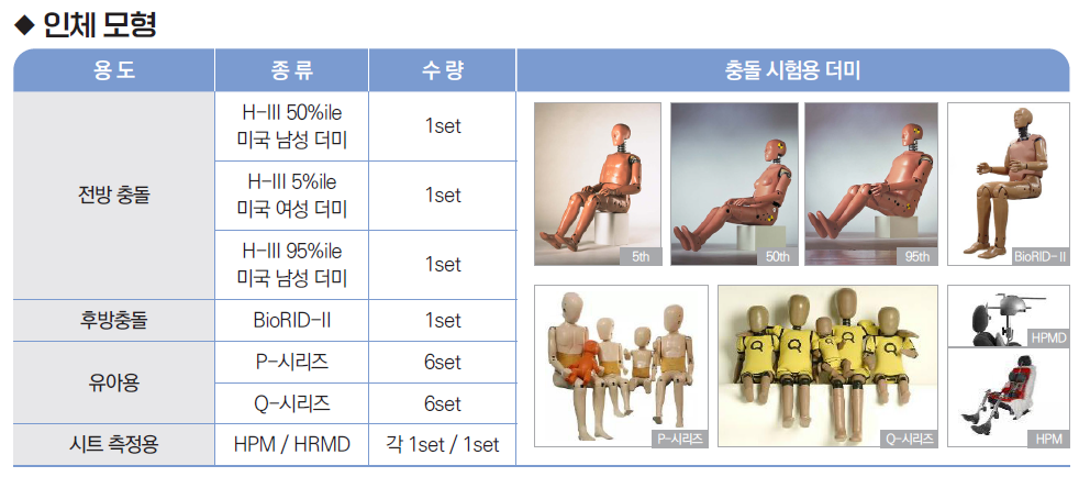 인체모형